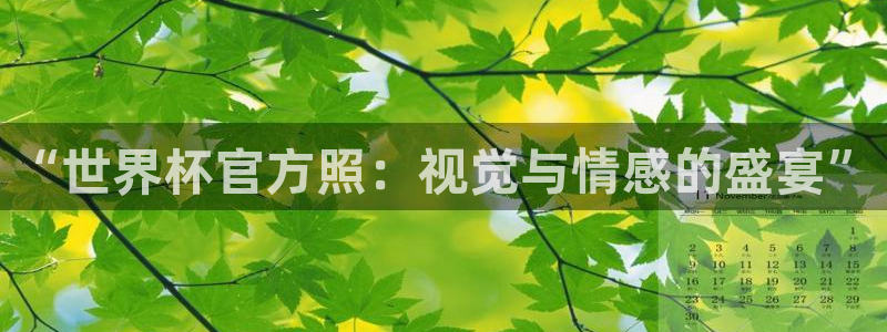 世界杯预选赛直播:“世界杯官方照:视觉与情感的盛宴”