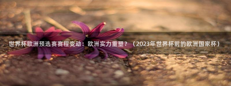 2026世界杯预选赛：世界杯欧洲预选赛赛程变动：欧洲实力重塑？（2023年世界杯前的欧洲国家杯）