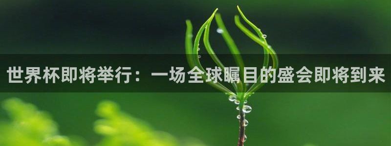 世界杯：世界杯即将举行：一场全球瞩目的盛会即将到来