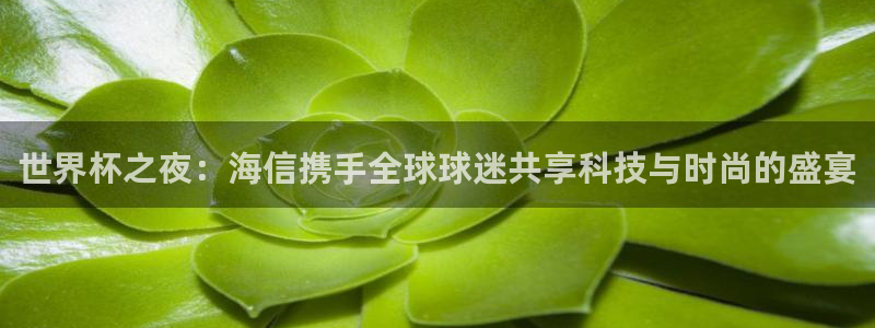 世界杯足球赛2026：世界杯之夜：海信携手全球球迷共享科技与时尚的盛宴