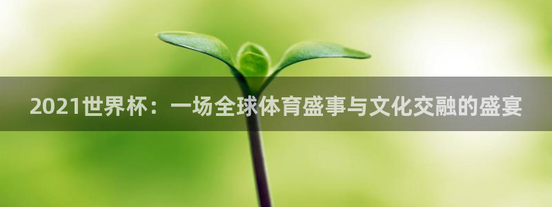 2026世界杯官网：2021世界杯：一场全球体育盛事与文化交融的盛宴