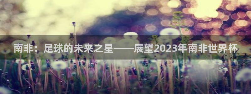 世界杯2026赛制：南非：足球的未来之星——展望2023年南非世界杯
