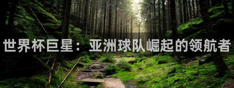 欧联杯直播：世界杯巨星：亚洲球队崛起的领航者