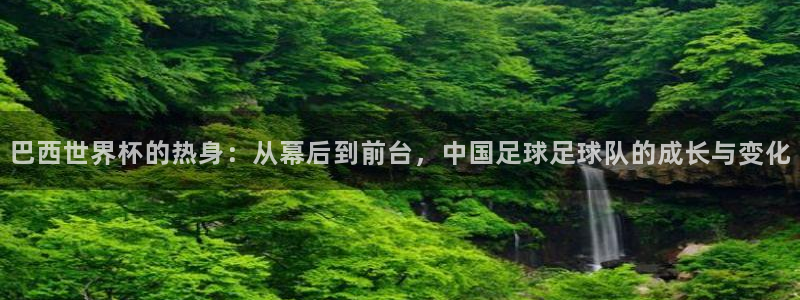 2026年世界杯：巴西世界杯的热身：从幕后到前台，中国足球足球队的成长与变化