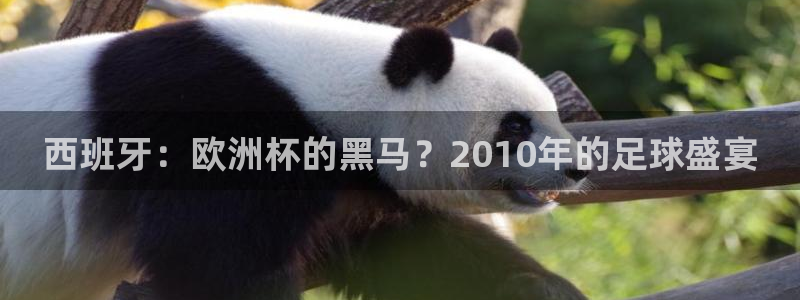 世界杯足球赛2026赛程时间：西班牙：欧洲杯的黑马？2010年的足球盛宴