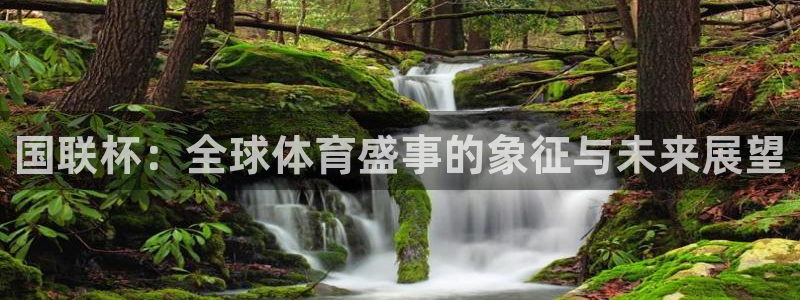 2026男足世界杯赛程：国联杯：全球体育盛事的象征与未来展望